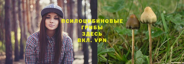 Альфа ПВП Алексин